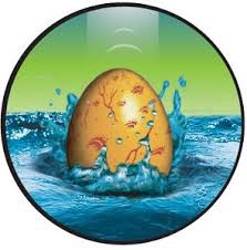 Bu bir dinazor yumurtası